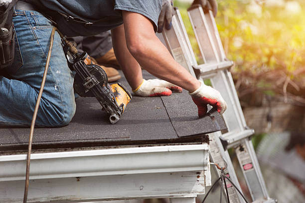 Best Flat Roof Repair Services  in Darien, IL