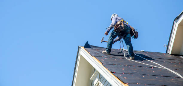 Best Storm Damage Roof Repair  in Darien, IL